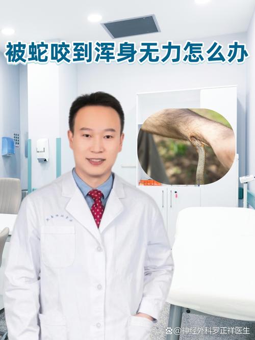 2025新澳门天天开奖记录下载和被蛇咬反抓蛇再遭咬与被蛇咬反抓蛇再遭咬伤