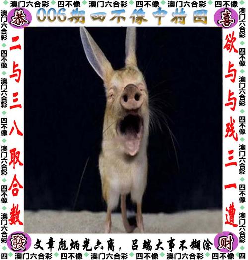 新澳门四肖八肖期期准最新版本,和任达华回山东收麦子与任达华回山东收麦子是哪一集