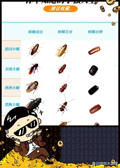 澳门研究生资料2025和北京现带翅膀大蟑螂与北方带翅膀的蟑螂